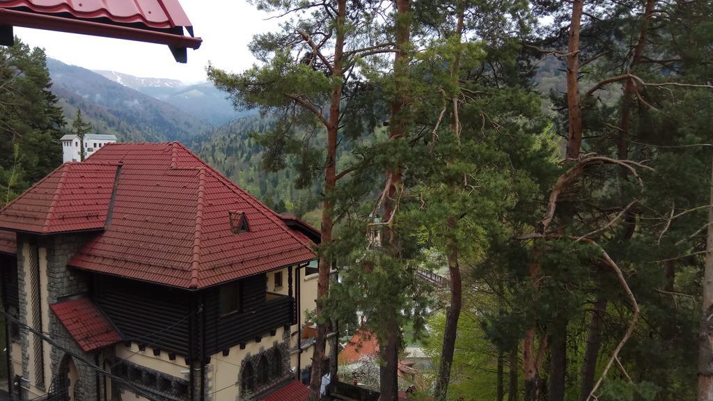 Casa Adina Hotel Sinaia Exterior photo